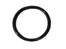 O-ring 19X2 acv