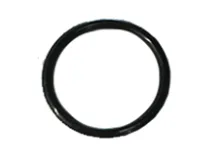 O-ring 19X2 acv
