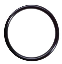 O-ring  d.115X4 acv