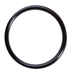 O-ring  d.115X4 acv