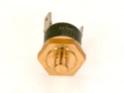Temperatuurbegrenzer bosch