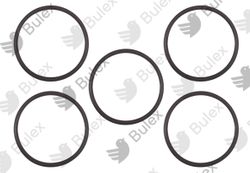 Joint torique pompe sanitaire 3,5gr53 Bulex