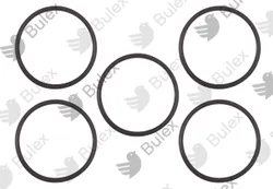 Joint torique pompe sanitaire 3,5gr53 Bulex