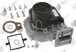 Extracteur / Ventilateur bulex