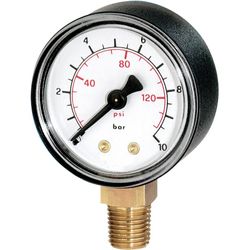 Manometer 1/10 bar 1/4 M Dimex