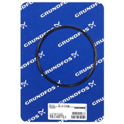 Joint torique EPDM 100x4,05 Grundfos