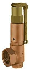 Veiligheidsklep, IMI Pneumatex DSV...DGH DSV 20-3.0 DGH, 3/4"-5/4"FF, 3bar, verwarming