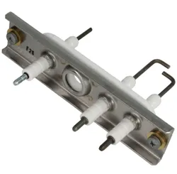 electrode ZWB Bosch(ex 8718107089)