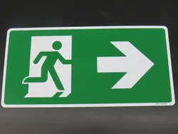 PICTOGRAM ISO NOODUITGANG fig R Somati