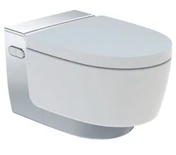 Wandwc, Geberit AquaClean, diep, open spoelrand, 39.5x59mm, wit, vuilafstotend