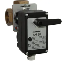 Elektrische servomotor, Tempolec SM SM 80, 15Nm, 130s