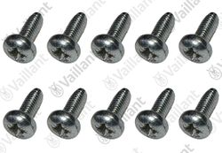 Vis, 10 pieces Vaillant
