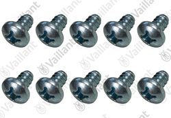 Vis, 10 pieces Vaillant