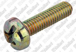 Vis vaillant