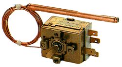 Veiligheidsaquastaat KTS 100 Watts