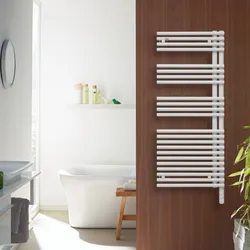 Radiateur décoratif Version gauche, Zehnder Forma asym, HxL=1681x596mm, 900W, autres couleurs
